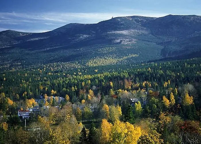 Sylwia シクラルスカ・ポレンバ